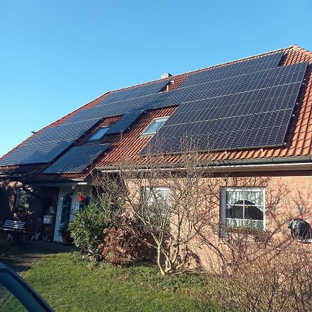 Haus Moewennest Apartman Gelting Kültér fotó